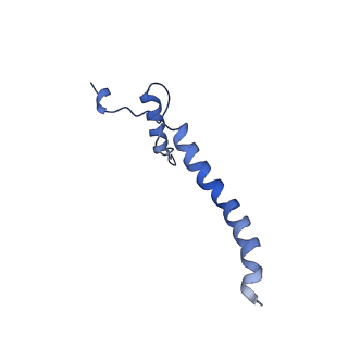 14140_7qso_a_v1-1
Bovine complex I in lipid nanodisc, State 3 (Slack)