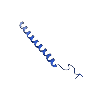 14140_7qso_c_v1-1
Bovine complex I in lipid nanodisc, State 3 (Slack)