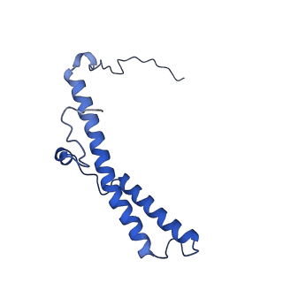 14140_7qso_d_v1-1
Bovine complex I in lipid nanodisc, State 3 (Slack)