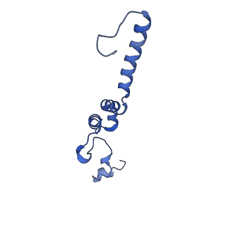 14140_7qso_e_v1-1
Bovine complex I in lipid nanodisc, State 3 (Slack)