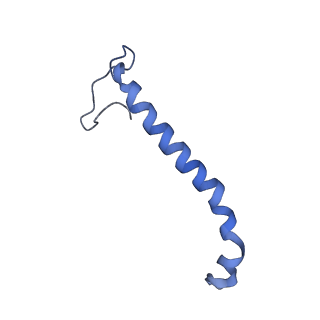 14140_7qso_f_v1-1
Bovine complex I in lipid nanodisc, State 3 (Slack)
