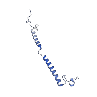 14140_7qso_g_v1-1
Bovine complex I in lipid nanodisc, State 3 (Slack)
