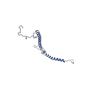 14140_7qso_h_v1-1
Bovine complex I in lipid nanodisc, State 3 (Slack)