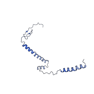 14140_7qso_i_v1-1
Bovine complex I in lipid nanodisc, State 3 (Slack)