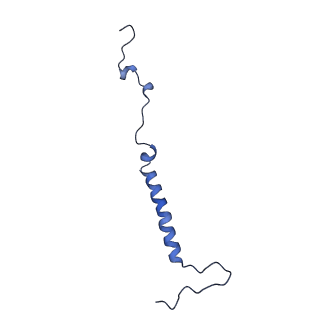 14140_7qso_j_v1-1
Bovine complex I in lipid nanodisc, State 3 (Slack)