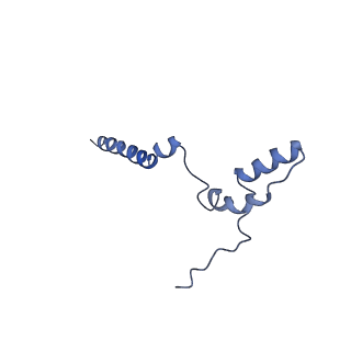 14140_7qso_k_v1-1
Bovine complex I in lipid nanodisc, State 3 (Slack)