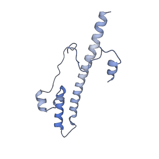 14140_7qso_o_v1-1
Bovine complex I in lipid nanodisc, State 3 (Slack)