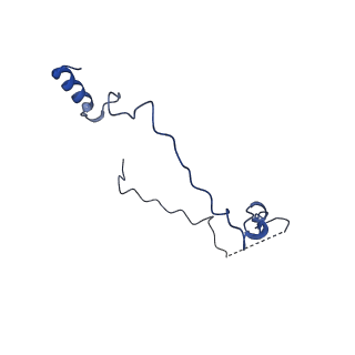 14140_7qso_r_v1-1
Bovine complex I in lipid nanodisc, State 3 (Slack)