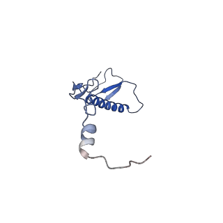 17720_8qsj_0_v1-0
Human mitoribosomal large subunit assembly intermediate 2 with GTPBP7