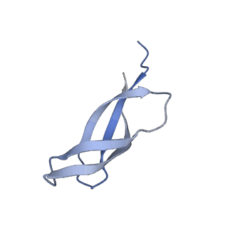 17720_8qsj_1_v1-0
Human mitoribosomal large subunit assembly intermediate 2 with GTPBP7