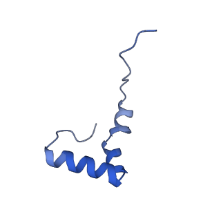 17720_8qsj_2_v1-0
Human mitoribosomal large subunit assembly intermediate 2 with GTPBP7