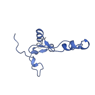 17720_8qsj_3_v1-0
Human mitoribosomal large subunit assembly intermediate 2 with GTPBP7