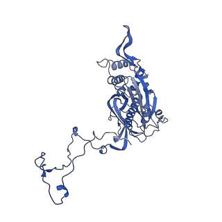 17720_8qsj_5_v1-0
Human mitoribosomal large subunit assembly intermediate 2 with GTPBP7