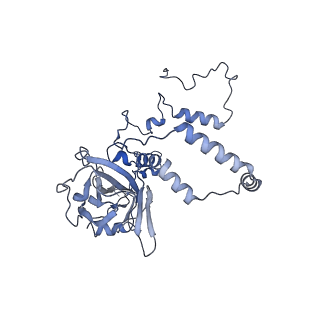 17720_8qsj_6_v1-0
Human mitoribosomal large subunit assembly intermediate 2 with GTPBP7