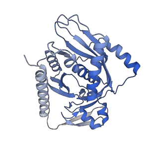 17720_8qsj_7_v1-0
Human mitoribosomal large subunit assembly intermediate 2 with GTPBP7
