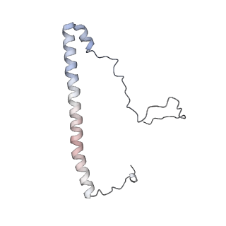 17720_8qsj_8_v1-0
Human mitoribosomal large subunit assembly intermediate 2 with GTPBP7