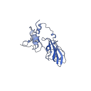 17720_8qsj_D_v1-0
Human mitoribosomal large subunit assembly intermediate 2 with GTPBP7