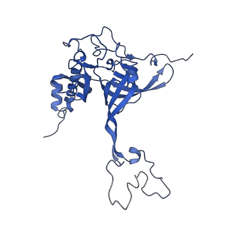 17720_8qsj_E_v1-0
Human mitoribosomal large subunit assembly intermediate 2 with GTPBP7