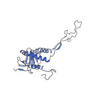 17720_8qsj_F_v1-0
Human mitoribosomal large subunit assembly intermediate 2 with GTPBP7