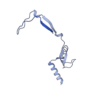 17720_8qsj_H_v1-0
Human mitoribosomal large subunit assembly intermediate 2 with GTPBP7