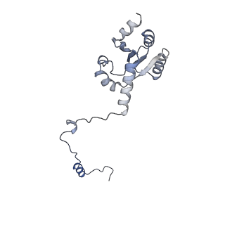 17720_8qsj_I_v1-0
Human mitoribosomal large subunit assembly intermediate 2 with GTPBP7