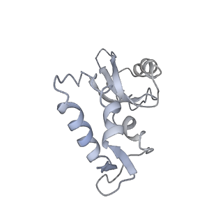 17720_8qsj_J_v1-0
Human mitoribosomal large subunit assembly intermediate 2 with GTPBP7