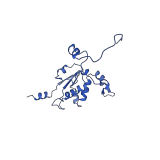 17720_8qsj_K_v1-0
Human mitoribosomal large subunit assembly intermediate 2 with GTPBP7
