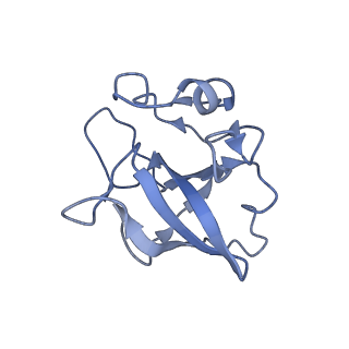 17720_8qsj_L_v1-0
Human mitoribosomal large subunit assembly intermediate 2 with GTPBP7