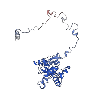 17720_8qsj_M_v1-0
Human mitoribosomal large subunit assembly intermediate 2 with GTPBP7