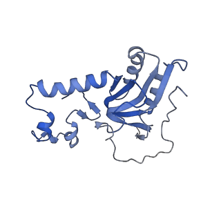 17720_8qsj_N_v1-0
Human mitoribosomal large subunit assembly intermediate 2 with GTPBP7