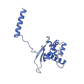 17720_8qsj_O_v1-0
Human mitoribosomal large subunit assembly intermediate 2 with GTPBP7