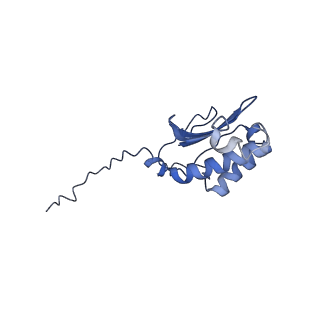 17720_8qsj_P_v1-0
Human mitoribosomal large subunit assembly intermediate 2 with GTPBP7