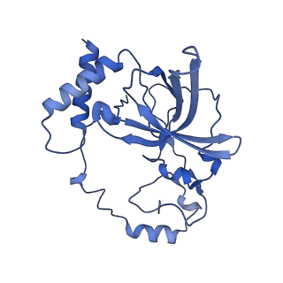 17720_8qsj_Q_v1-0
Human mitoribosomal large subunit assembly intermediate 2 with GTPBP7