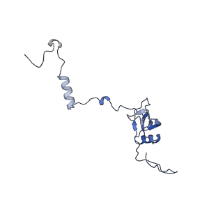 17720_8qsj_U_v1-0
Human mitoribosomal large subunit assembly intermediate 2 with GTPBP7