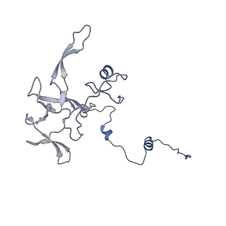 17720_8qsj_V_v1-0
Human mitoribosomal large subunit assembly intermediate 2 with GTPBP7