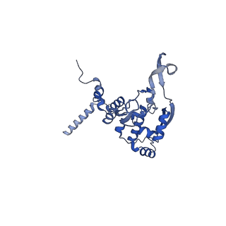 17720_8qsj_X_v1-0
Human mitoribosomal large subunit assembly intermediate 2 with GTPBP7