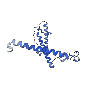 17720_8qsj_Y_v1-0
Human mitoribosomal large subunit assembly intermediate 2 with GTPBP7