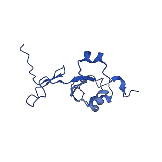 17720_8qsj_Z_v1-0
Human mitoribosomal large subunit assembly intermediate 2 with GTPBP7