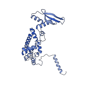 17720_8qsj_c_v1-0
Human mitoribosomal large subunit assembly intermediate 2 with GTPBP7