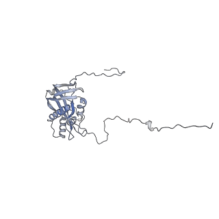 17720_8qsj_d_v1-0
Human mitoribosomal large subunit assembly intermediate 2 with GTPBP7