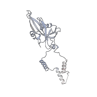 17720_8qsj_e_v1-0
Human mitoribosomal large subunit assembly intermediate 2 with GTPBP7