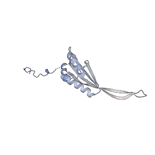 17720_8qsj_f_v1-0
Human mitoribosomal large subunit assembly intermediate 2 with GTPBP7