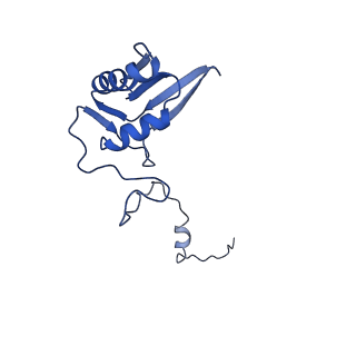17720_8qsj_g_v1-0
Human mitoribosomal large subunit assembly intermediate 2 with GTPBP7