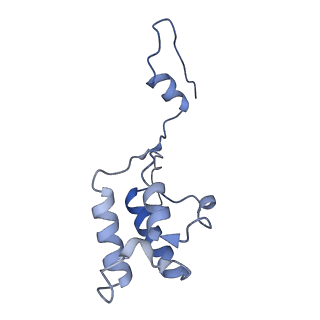 17720_8qsj_h_v1-0
Human mitoribosomal large subunit assembly intermediate 2 with GTPBP7