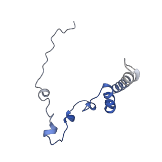 17720_8qsj_i_v1-0
Human mitoribosomal large subunit assembly intermediate 2 with GTPBP7