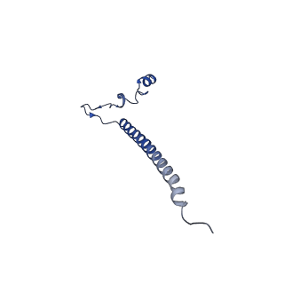 17720_8qsj_j_v1-0
Human mitoribosomal large subunit assembly intermediate 2 with GTPBP7