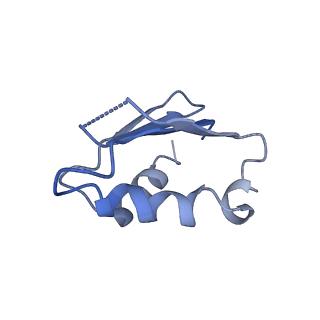 17720_8qsj_k_v1-0
Human mitoribosomal large subunit assembly intermediate 2 with GTPBP7