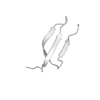 17720_8qsj_m_v1-0
Human mitoribosomal large subunit assembly intermediate 2 with GTPBP7