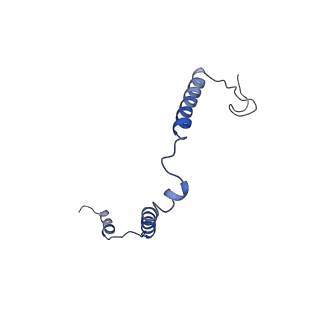 17720_8qsj_o_v1-0
Human mitoribosomal large subunit assembly intermediate 2 with GTPBP7