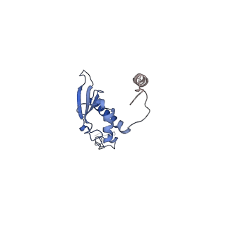 17720_8qsj_p_v1-0
Human mitoribosomal large subunit assembly intermediate 2 with GTPBP7